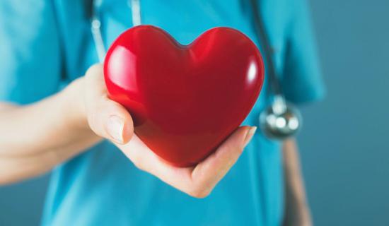 Doctor holding a symbolism of a heart.